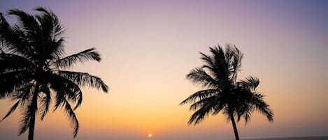 A beach scene with two palm trees and a sunset over the ocean.