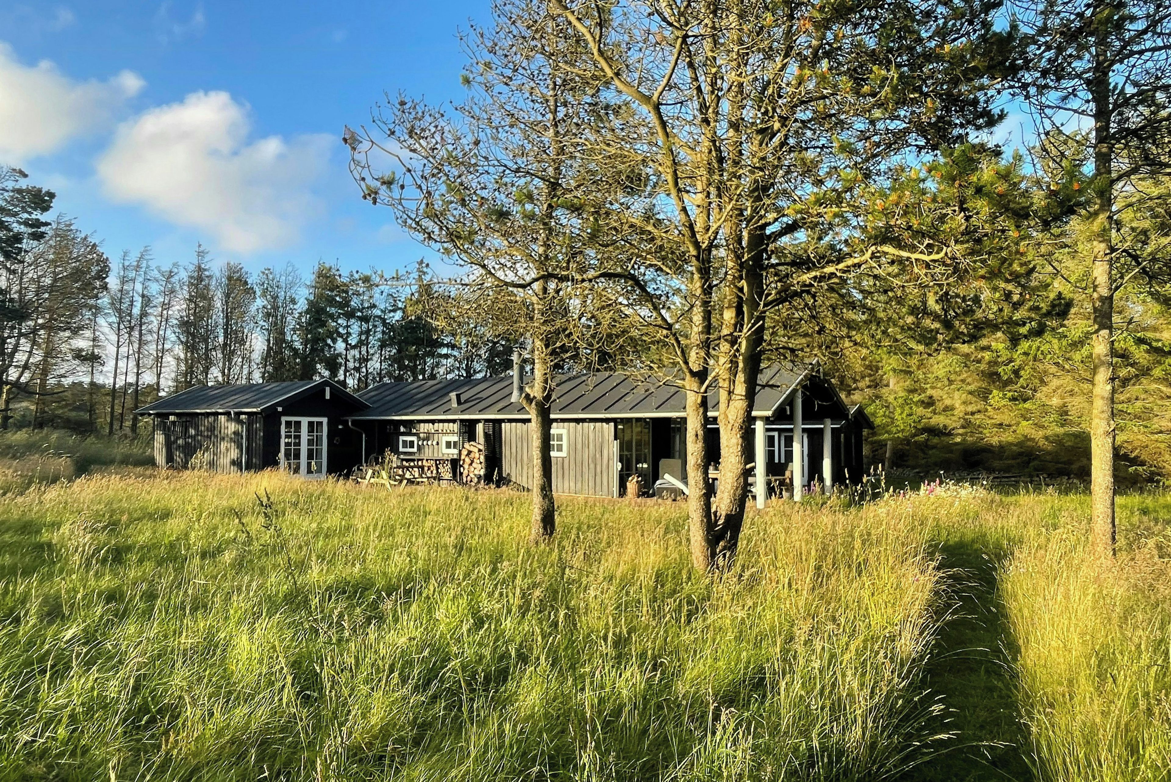 Een landelijke blokhut met een metalen dak, omgeven door hoog gras en bomen.