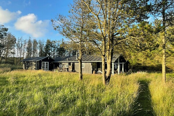 A rustic cabin with a metal roof, surrounded by tall grass and trees. - Holiday home at Rubjerg Knude Fyr (Løkken)