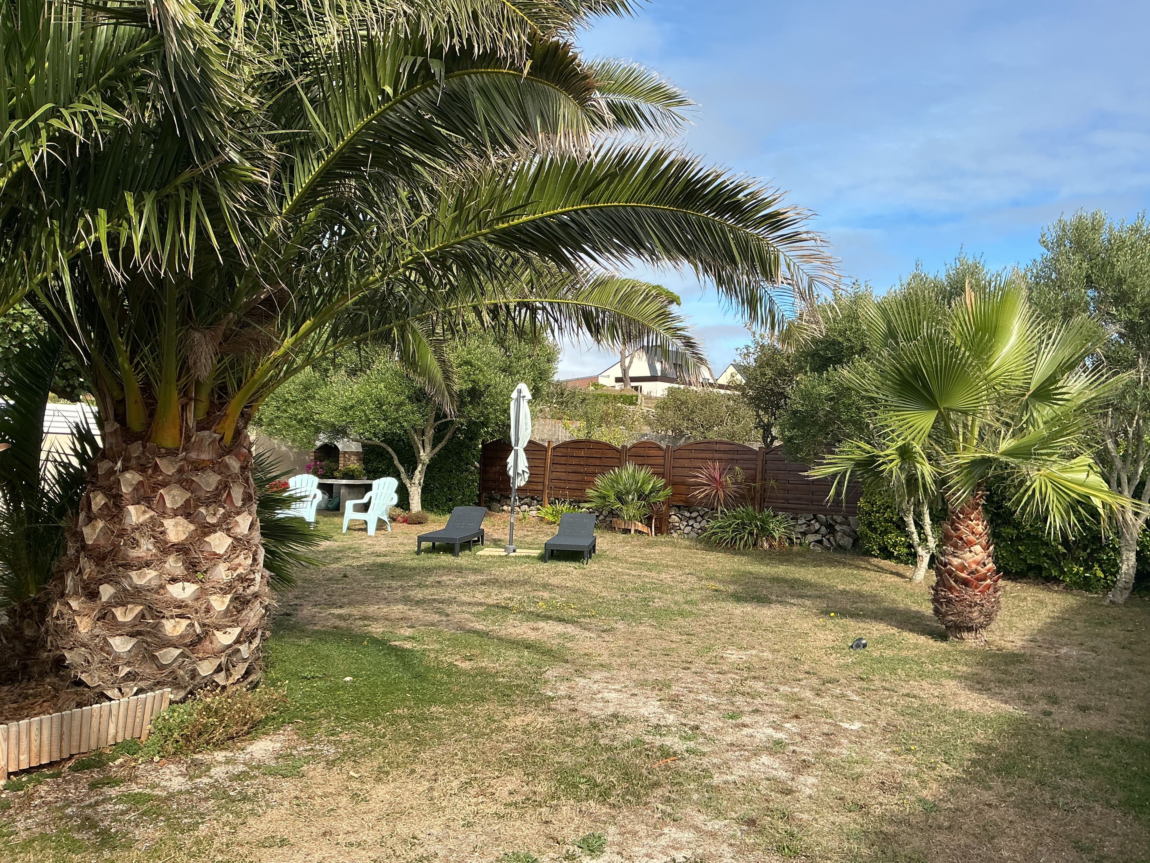 Ein Garten mit Palmen, einem Holzzaun und Gartenmöbeln.