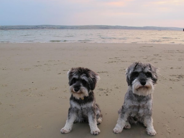 Strand