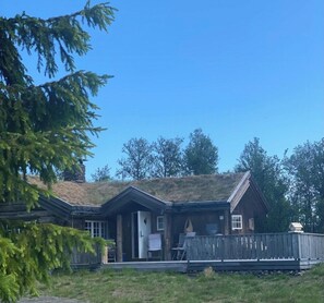 Oklassificerad bild, 3 av 18, knapp