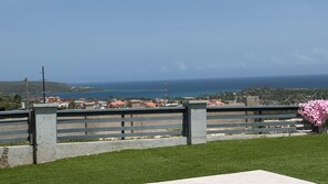A coastal view with a grassy area, a metal fence, and a pink flower bush.