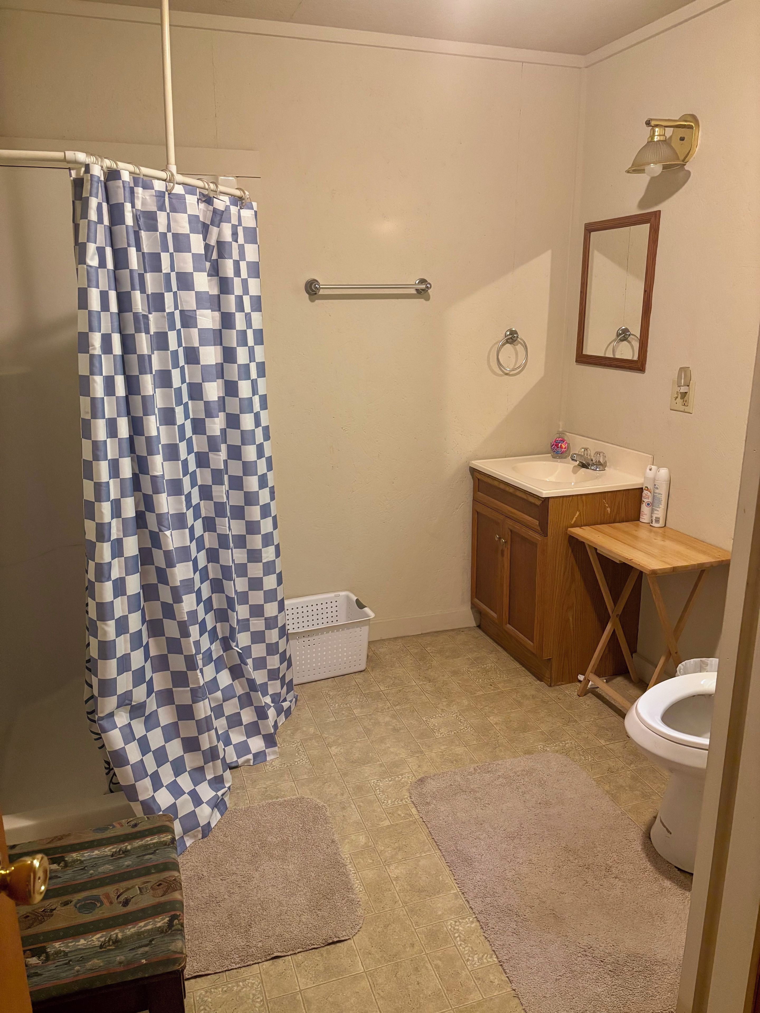 Une salle de bain avec un rideau de douche à carreaux, un meuble-lavabo en bois, des toilettes et un miroir.