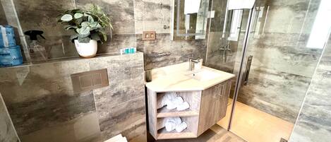 A modern bathroom with a glass shower enclosure, a built-in sink, and a potted plant.