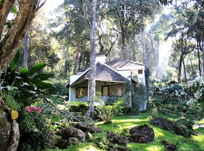 Exterior - The Tall Trees (Devikolam)