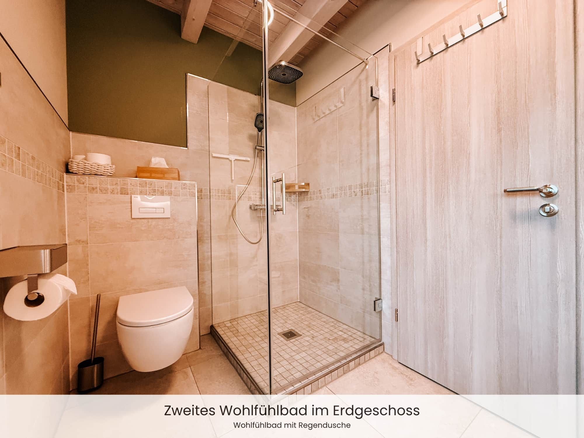 Ein Badezimmer mit einer Duschkabine, einer Toilette und einem Waschbecken mit Handtuchhalter darüber.