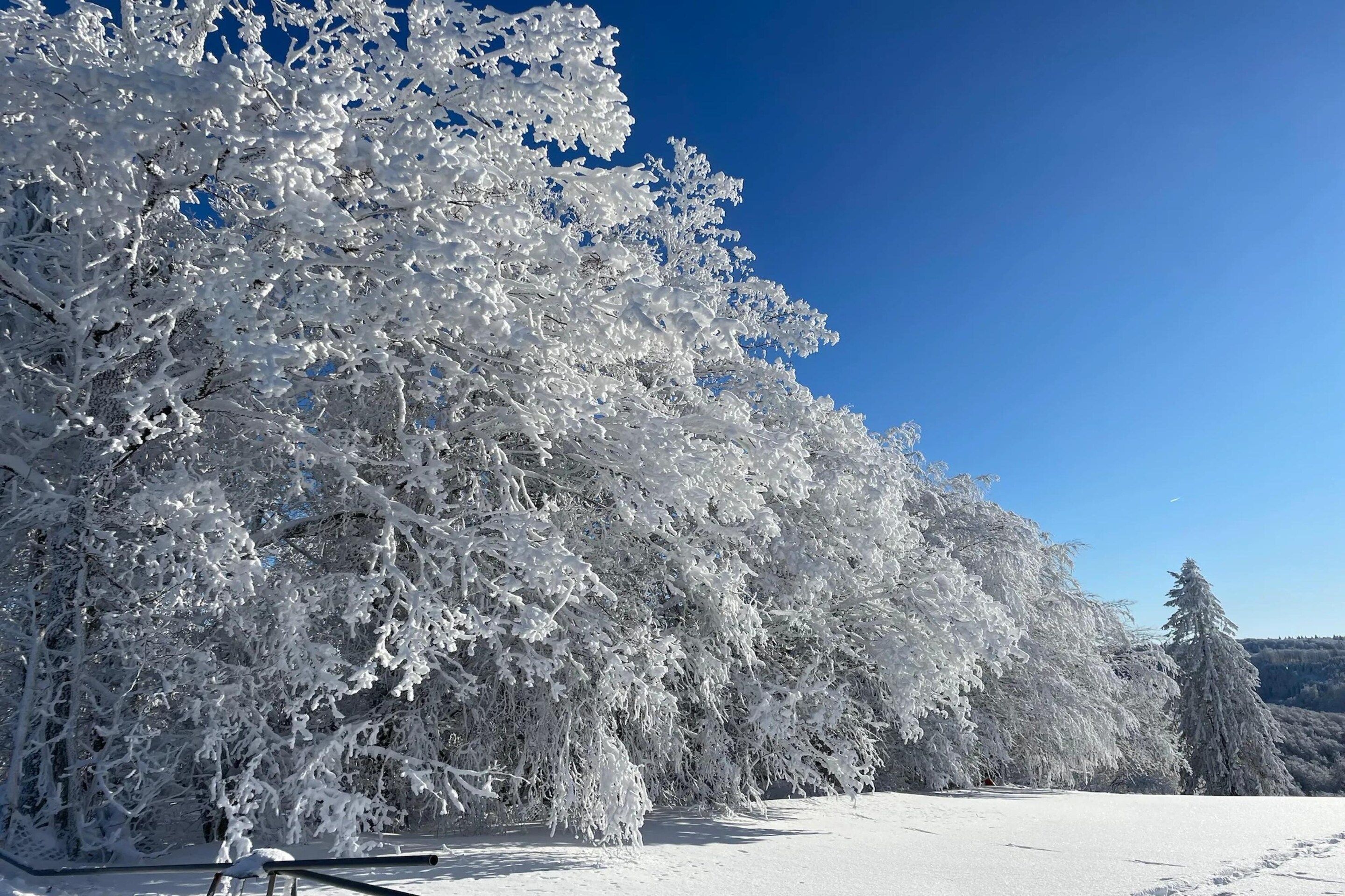 Schneebedeckte Landschaft mit Bäumen und blauem Himmel.