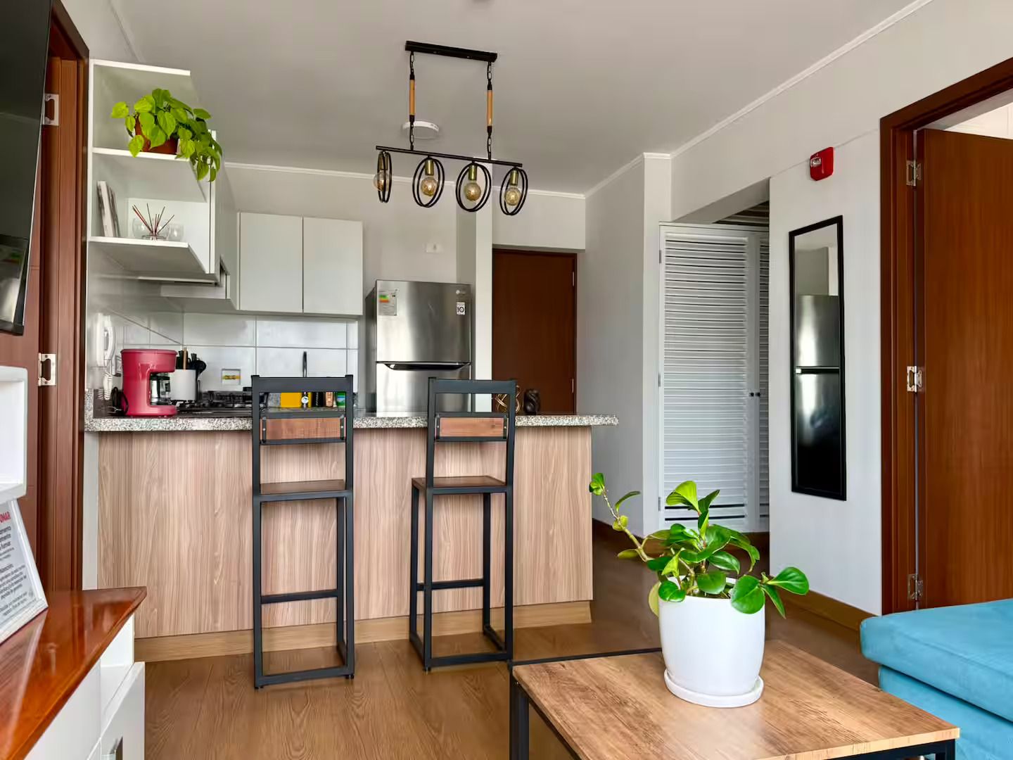 A modern kitchen with a stainless steel refrigerator, a coffee maker, and a potted plant.