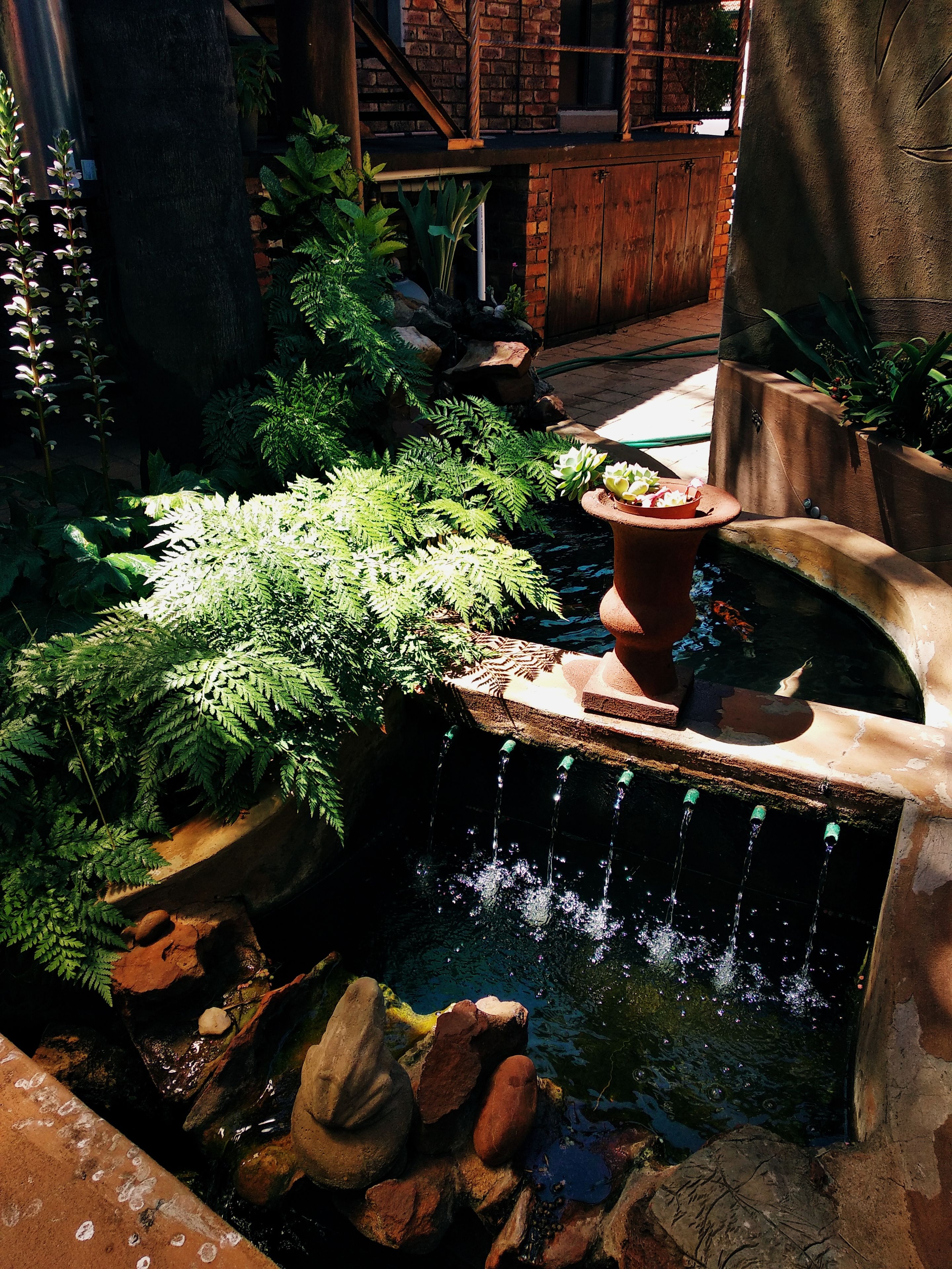 Een tuin met een waterpartij, waaronder een kleine waterval en een vijver omringd door rotsen en varens.