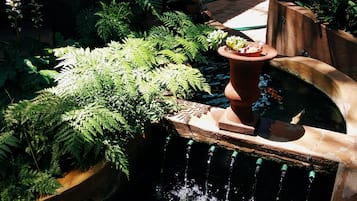 A garden with a water feature, including a small waterfall and a pond surrounded by rocks and ferns.