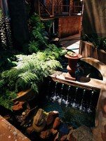 Un jardín con un elemento acuático, que incluye una pequeña cascada y un estanque rodeado de rocas y helechos.