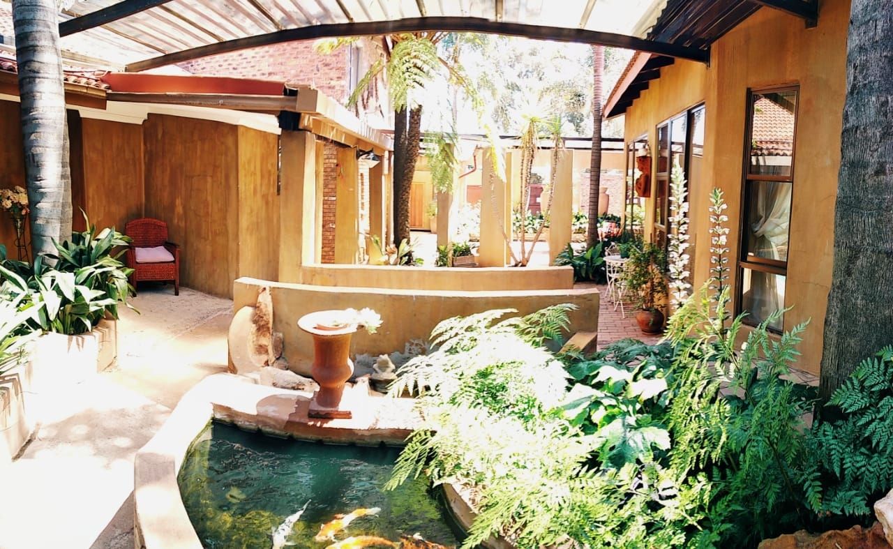 Un patio con un pequeño estanque, plantas en macetas y una silla de madera.