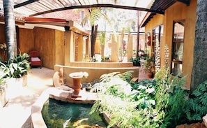 Une cour avec un petit bassin, des plantes en pot et une chaise en bois.