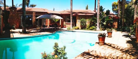 Una piscina con borde de baldosas, rodeada de palmeras y plantas en macetas.