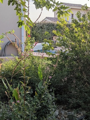 Ein Garten mit verschiedenen Pflanzen und einem Gebäude im Hintergrund.