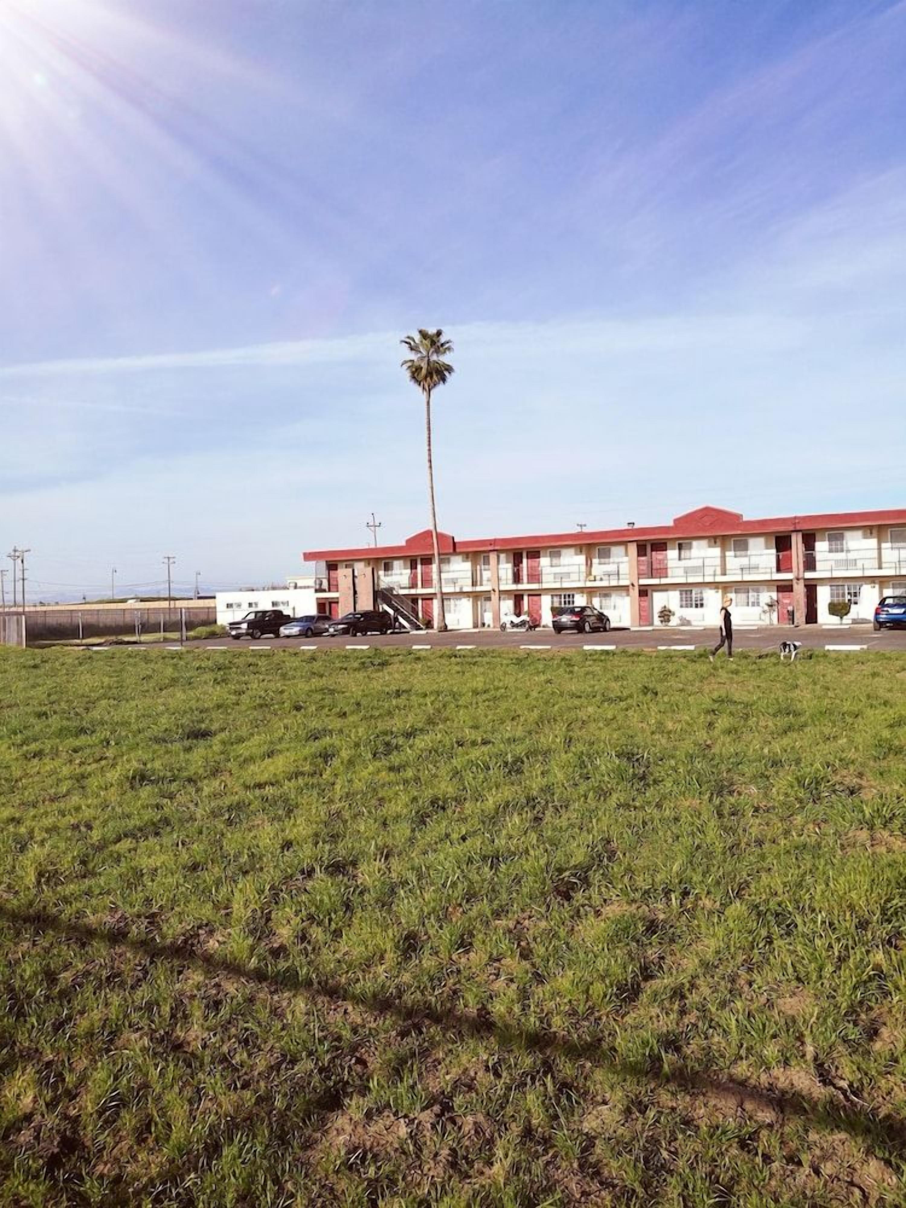 A building with a red roof and multiple windows, surrounded by a grassy field and a palm tree.