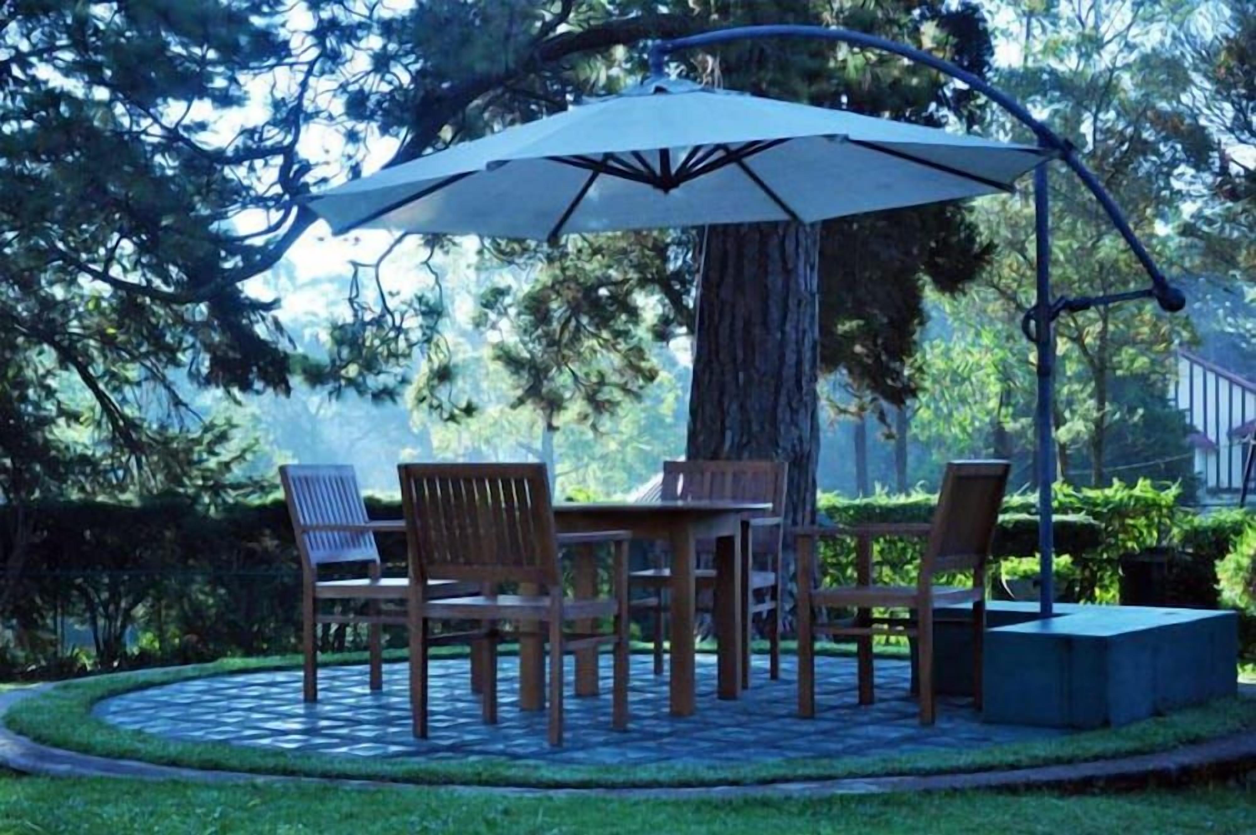 Un área de patio con una mesa y sillas bajo un dosel, rodeada por un diseño circular de ladrillos y follaje.