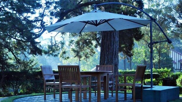 Ảnh chưa phân loại, 1 trong số 31 ảnh, nút