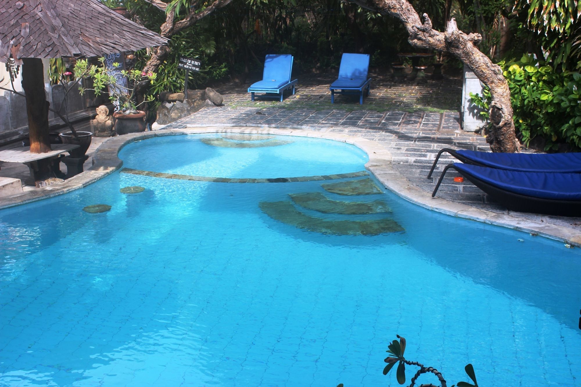 A swimming pool with lounge chairs and a stone pathway.
