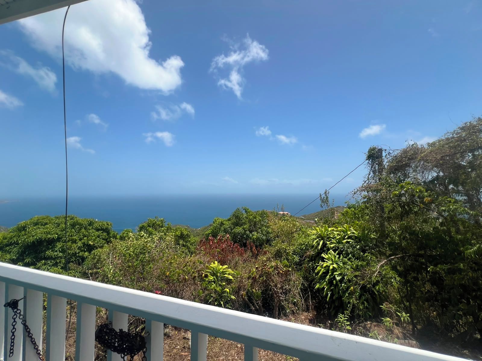 A balcony with a view of the ocean and dense foliage.
