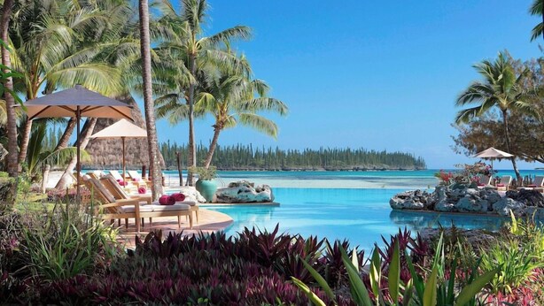 A pool area with lounge chairs and umbrellas, surrounded by palm trees and tropical plants. - Le Meridien Ile des Pins (L'Île-des-Pins)
