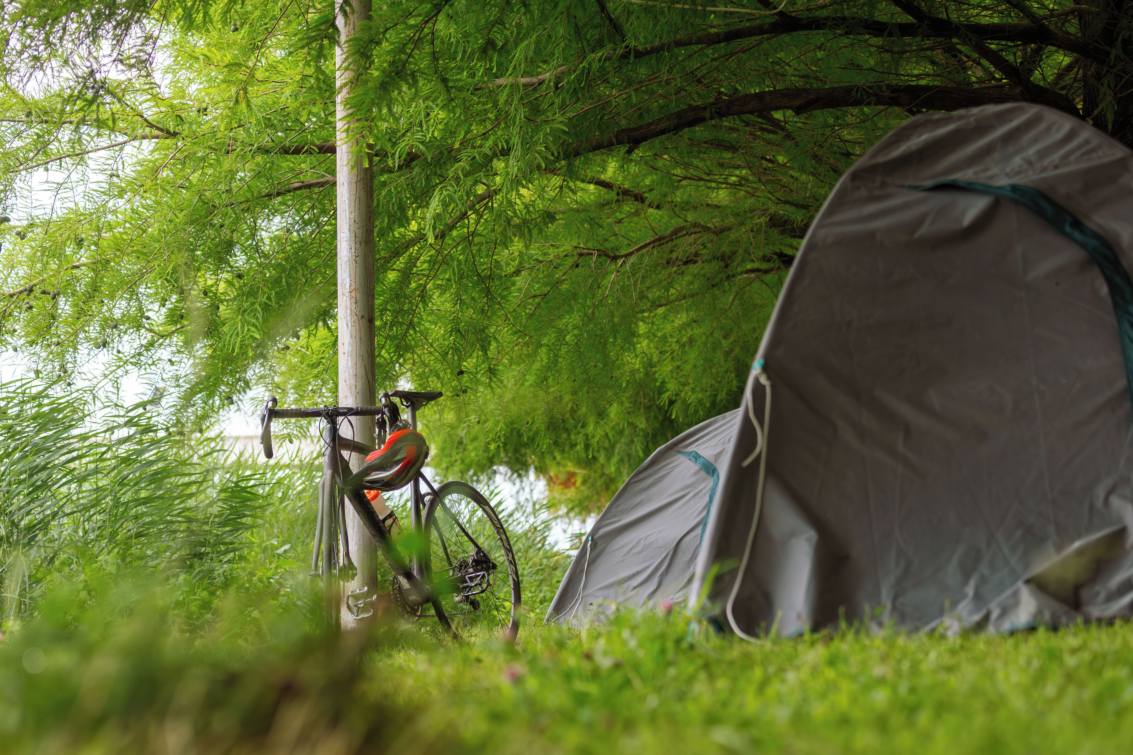 A tent and a bicycle in a forested area.