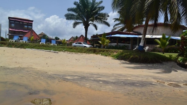 Une plage avec une rive sablonneuse, des palmiers et des bâtiments en arrière-plan.