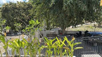 A garden area with various plants, a stone wall, and a parked vehicle.