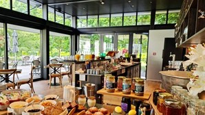 Dining - Old St Mary Convent Vineyard Estate (Rapaura)
