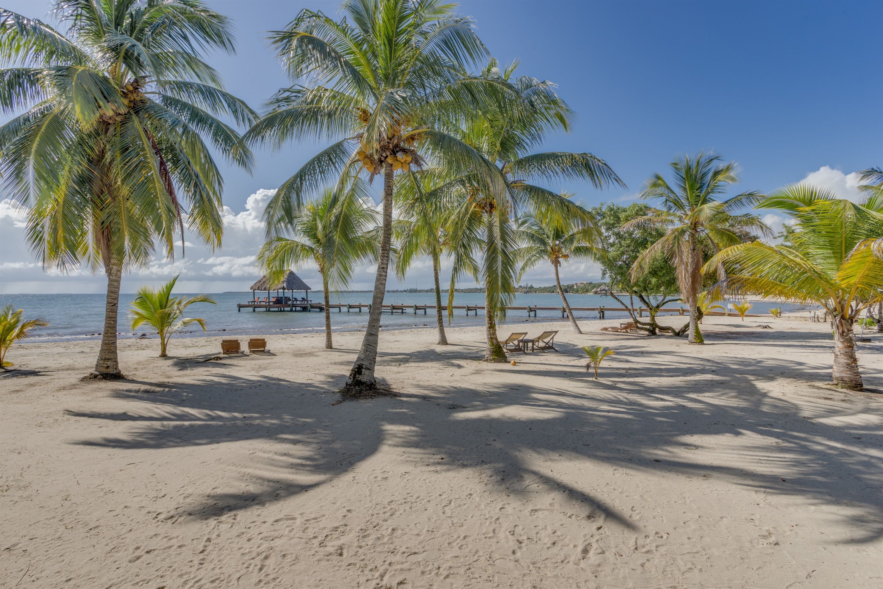 Una playa con palmeras, un muelle de madera y sillas de playa.