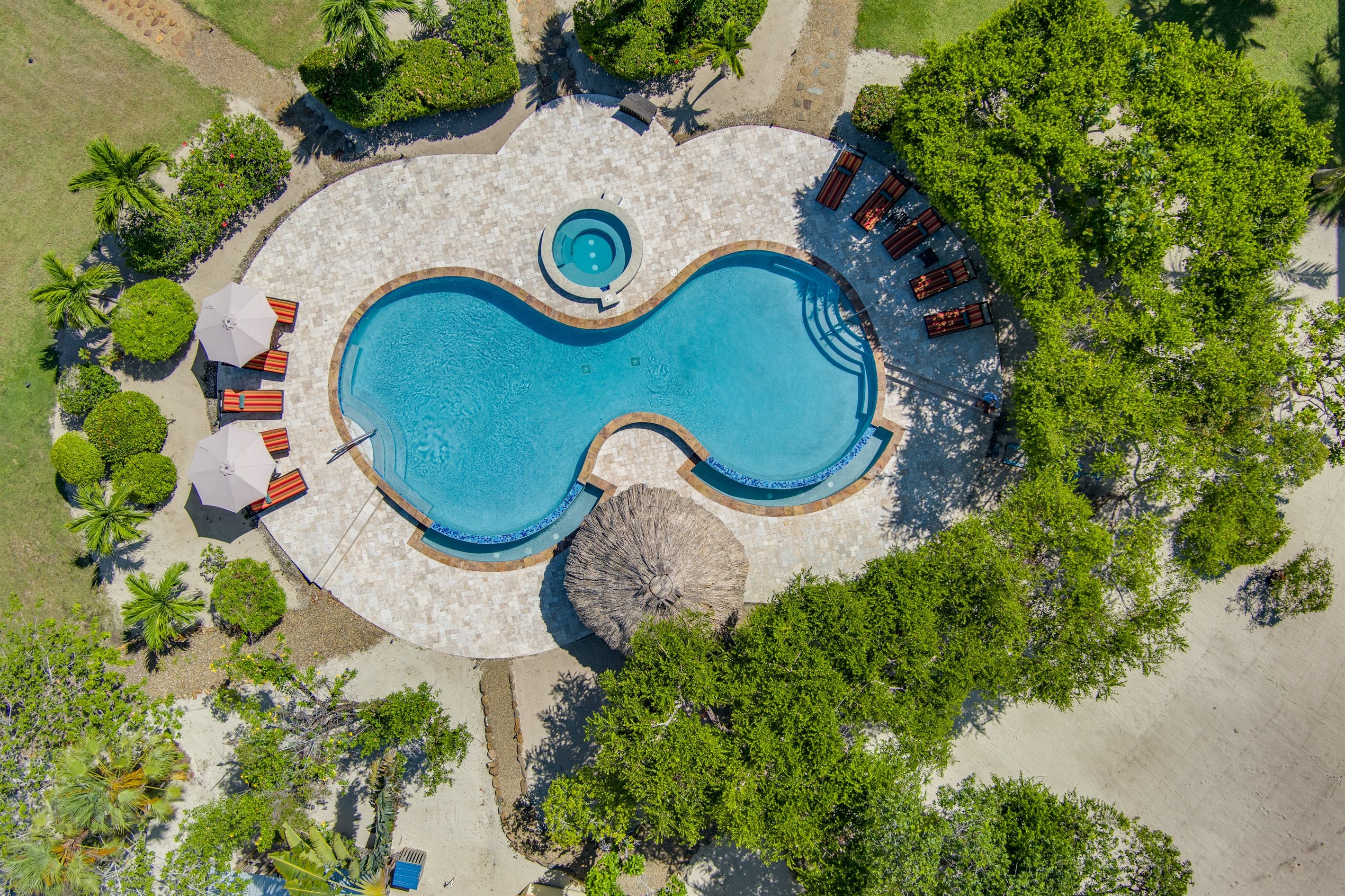 An aerial view of a swimming pool surrounded by lounge chairs and umbrellas, with palm trees and a stone pathway.