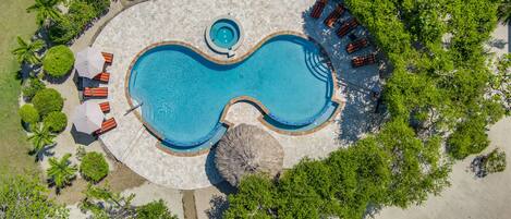An aerial view of a swimming pool surrounded by lounge chairs and umbrellas, with palm trees and a stone pathway.