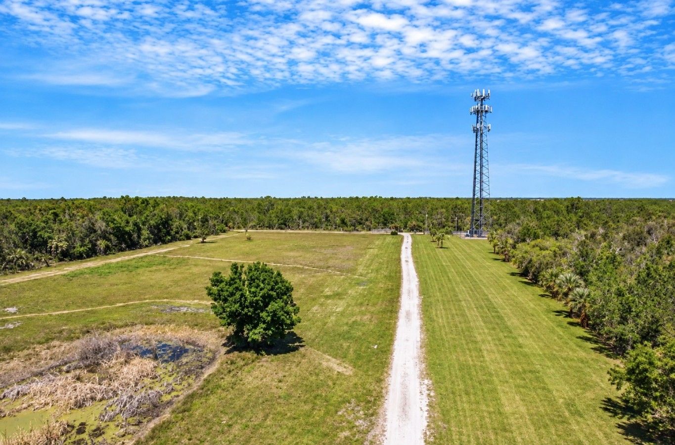 A clear sky with a tall communication tower in a rural landscape.