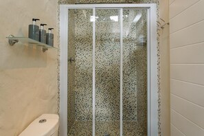 A shower with a glass door, a toilet, and a shelf with toiletries. - L Auberge Country Hideaway (Gqeberha)