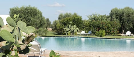 A swimming pool with a clear view of the sky, surrounded by greenery and a few lounge chairs.
