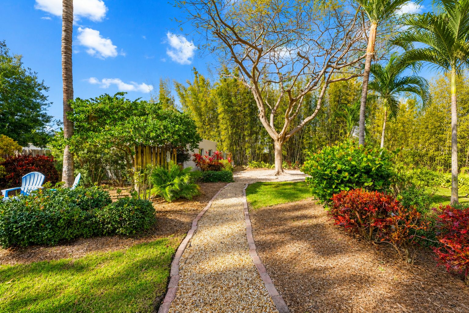 A garden pathway with a variety of plants and trees, leading to a building with a white facade.
