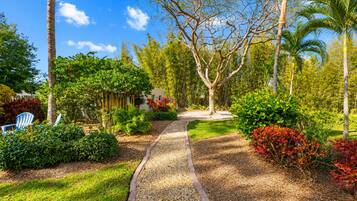 A garden pathway with a variety of plants and trees, leading to a building with a white facade.