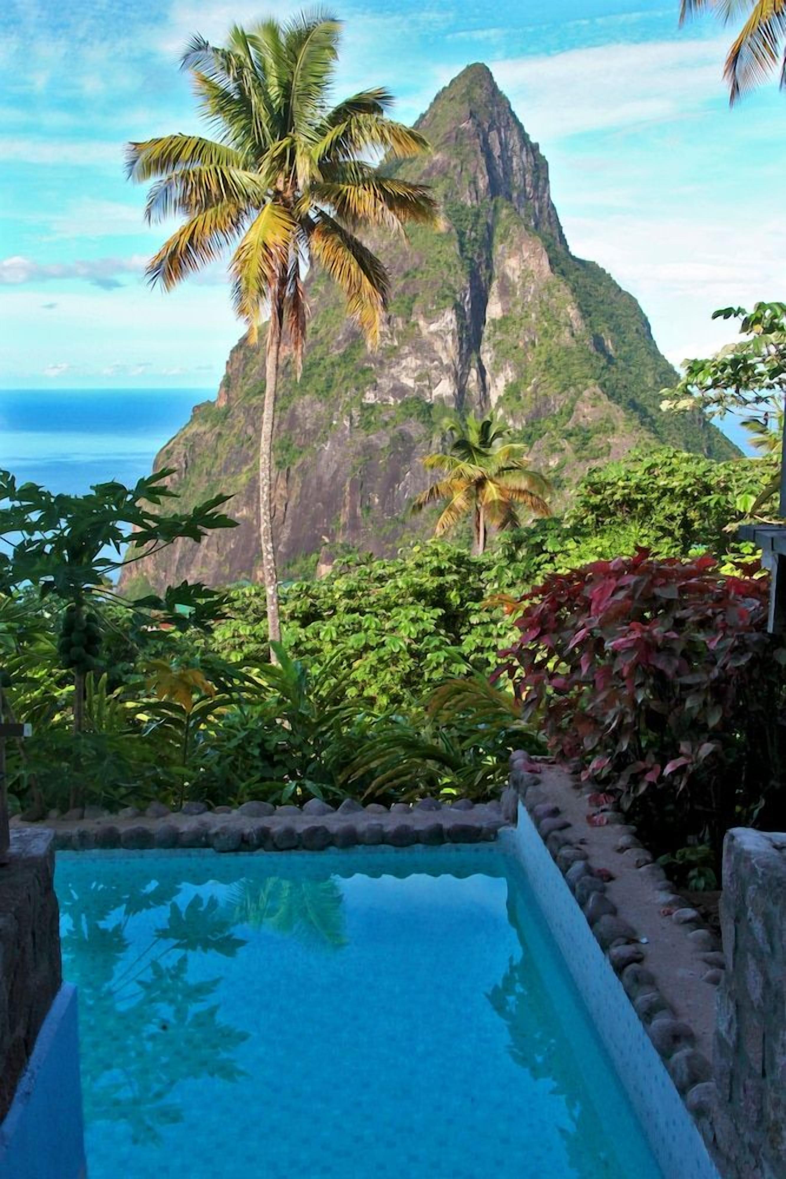 A pool with a view of a mountain and palm trees.