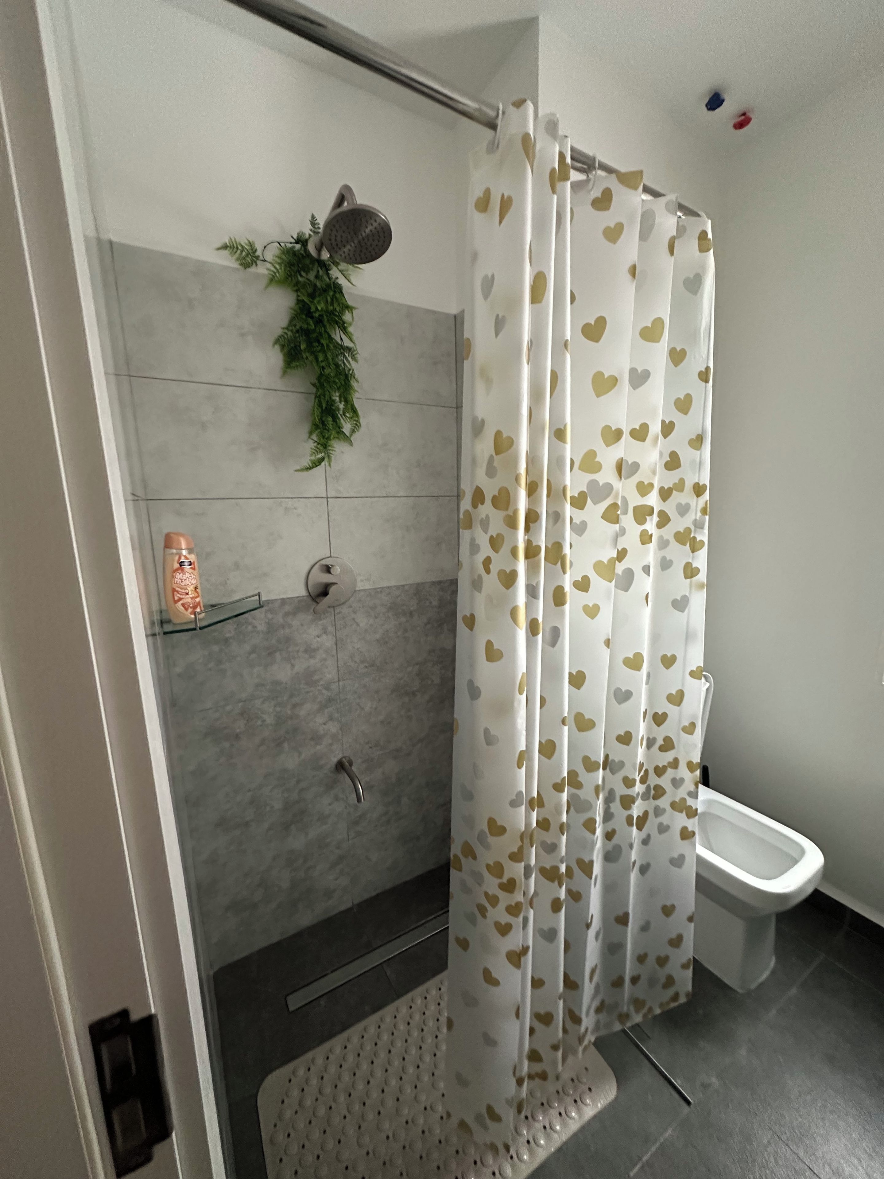 A bathroom with a shower, toilet, and a plant on the wall.