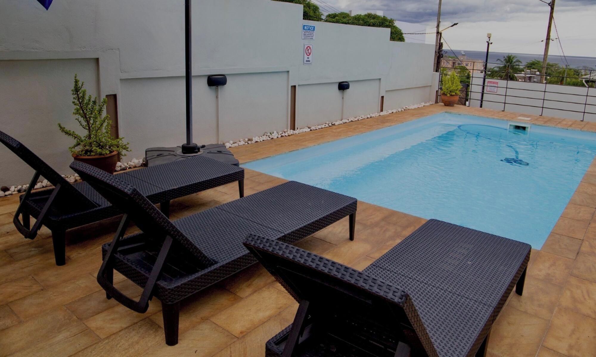A rooftop swimming pool with lounge chairs and a potted plant.