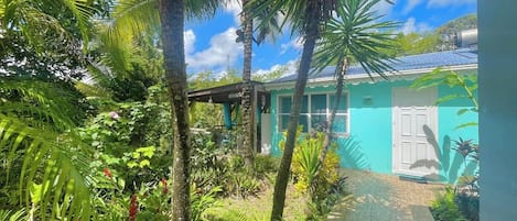 Un jardin tropical avec un sentier menant à un bâtiment à la façade turquoise et à la porte blanche.