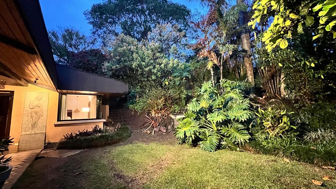 Una casa moderna con un jardín cuidado, una ventana a la vista y un sendero que lleva a la entrada.
