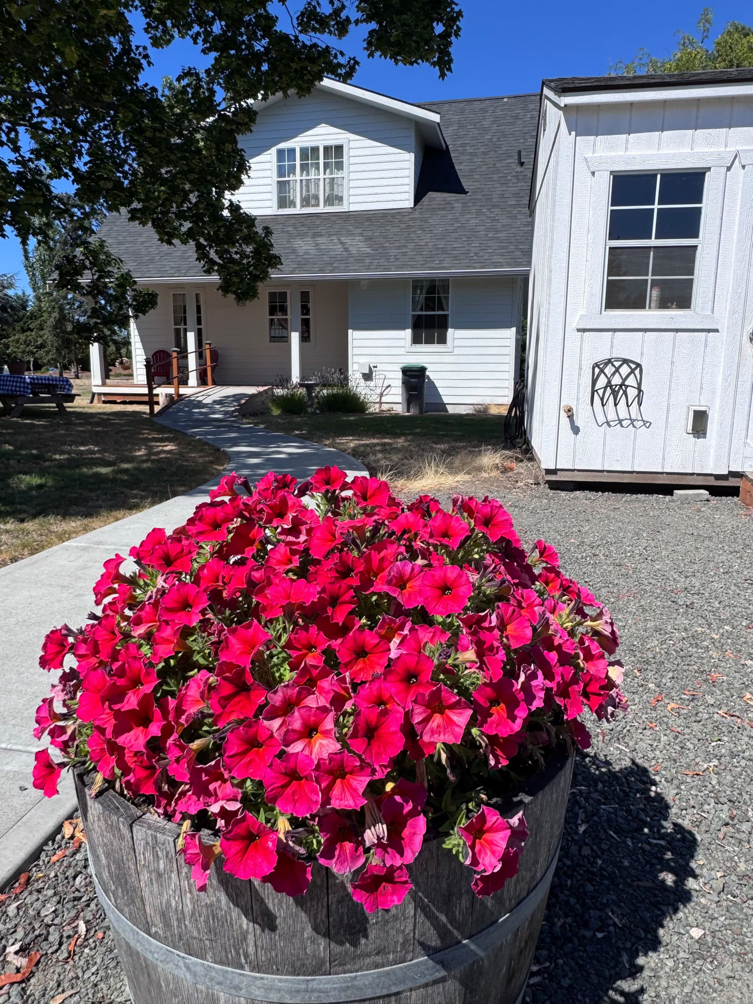 Ein Wohngebiet mit einem Haus, einem kleinen Gartenhaus und einem Blumenbeet voller bunter Blumen.