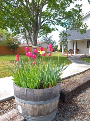 Una jardinera de madera con tulipanes y follaje verde, un árbol y una casa con porche y mobiliario exterior.