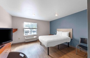 Una habitación de hotel con una cama, televisión, ventana y una silla.