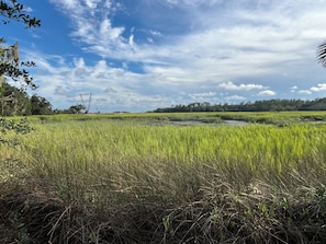 A vast field with a clear sky and distant trees.