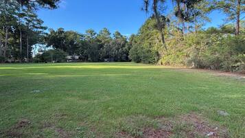 A grassy outdoor area with trees and a building in the background.
