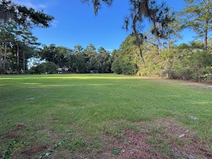 A grassy outdoor area with trees and a building in the background.