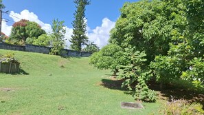 A grassy area with a stone wall and trees. - Zaboka 3★ – appartement calme et spacieux avec terrasse privative (Petit-Bourg)